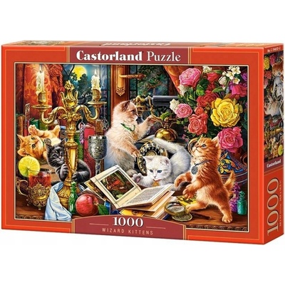 CASTORLAND KOUZELNÁ KOŤÁTKA 1000 dílků