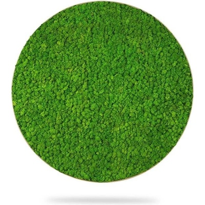Machový obraz kruh LIŠAJNÍK mono GREEN, priemer 55cm, dubový rám