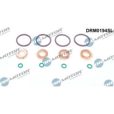 DR.MOTOR AUTOMOTIVE Sada tesnení pre vstrekovaciu trysku DRM0194SL