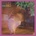 Green On Red - Gravity Talks CD