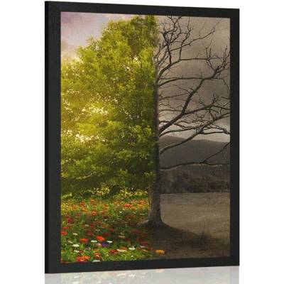 Plakát dvě podoby stromu - 60x90 no frame