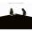 Royal Blood - How Did We Get So Dark ? (LP) (190295831141)