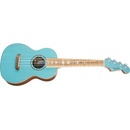 Fender Dhani Harrison