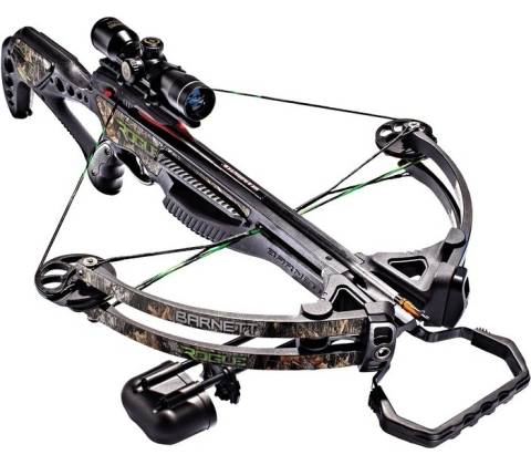 Barnett Rogue 165 lbs
