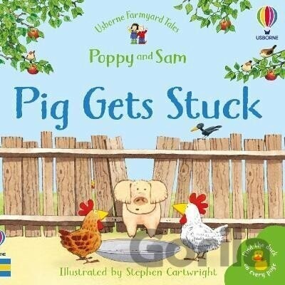 Pig Gets Stuck