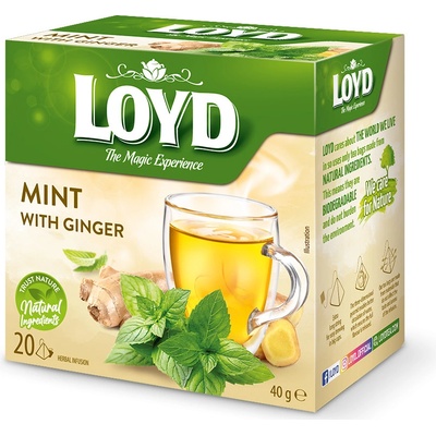 Loyd čaj Máta se zázvorem 20 x 2 g