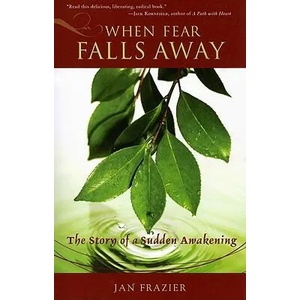 When Fear Falls Away | Jan Frazier, Barbi Schulick (ISBN: 9781578634002)