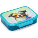 KARTON P+P Crazy Animals Dog 6-85126