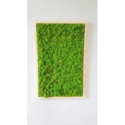 Mechový obraz v dřevěném rámu 100cm x 65cm
