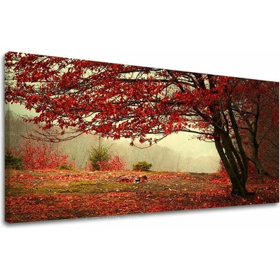 Obraz na stenu PANORÁMA STROMY - 40x80 cm
