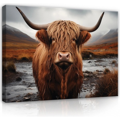 Postershop Obraz na plátně: Animals Scottish Highland Cow Landscape - 100x75 cm