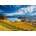 Schmidt Spiele - Puzzle Vineyards 2000 pieces - 2 000 piese