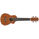 Ibanez UEW S5