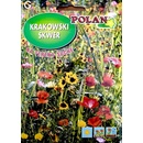 Zmes Krakowski Skwer 10 g POLAN pre suché oblasti