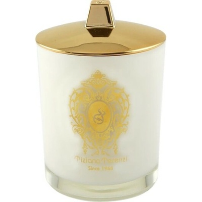 Tiziana Terenzi 170 g