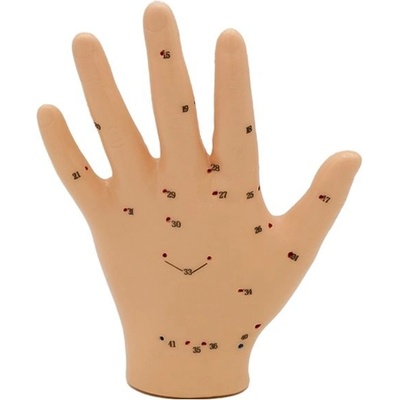 Hwato Akupunkturní model ruky, 13 cm