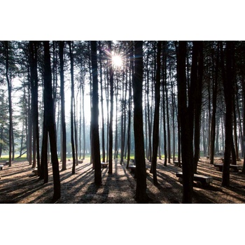 DIMEX ART s. r. o Флизелинов фототапет сутрешна сцена 375 x 250 см