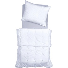 SCANquilt paplón Classic light 90x130