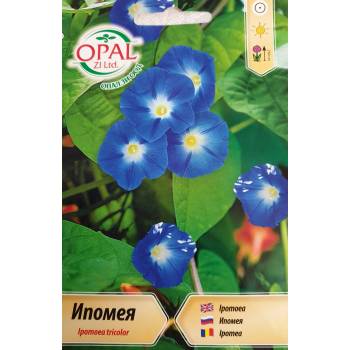 Image 1 of Opal Zi Ипомея синя