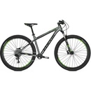 Focus Whistler Pro 29 2018