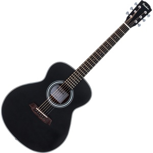 Pasadena PT-100 Black Фолк китара
