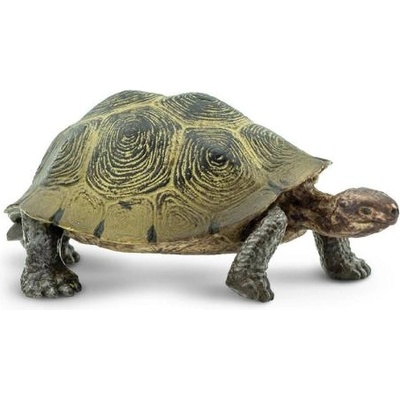 Safari Ltd Safari® Пустинна костенурка