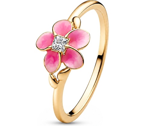 Pandora 163844C01