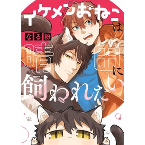 The Handsome Catboy Wants to Be His Pet (ISBN: 9798895610909)