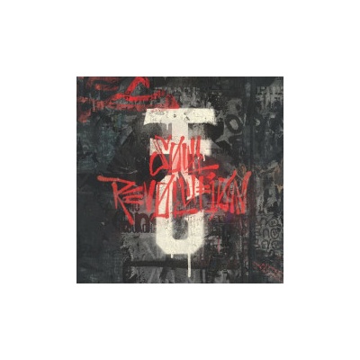 FIRE FROM THE GODS - SOUL REVOLUTION LP