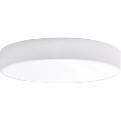 Polux RENE 28 317452