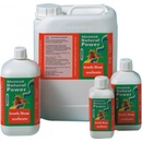 Advanced Hydroponics Growth/Bloom Excellerator 250 ml