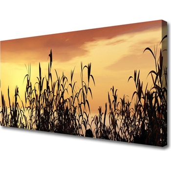 Obraz Canvas Listy západ lúka pole 100x50 cm