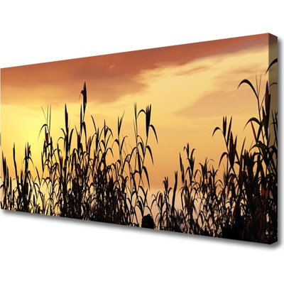 Obraz Canvas Listy západ lúka pole 100x50 cm