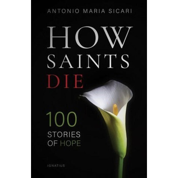 Image 1 of How Saints Die: 100 Stories of Hope