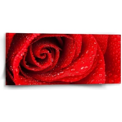 Sablio Obraz Květ růže - 110x50 cm