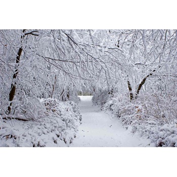 DIMEX ART s. r. o Флизелинов фототапет зимна гора 375 x 250 см