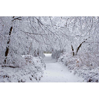 DIMEX ART Флизелинов фототапет зимна гора 375 x 250 см