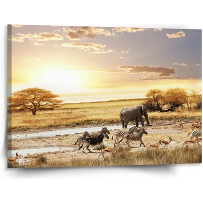 Sablio Obraz Safari - 150x110 cm