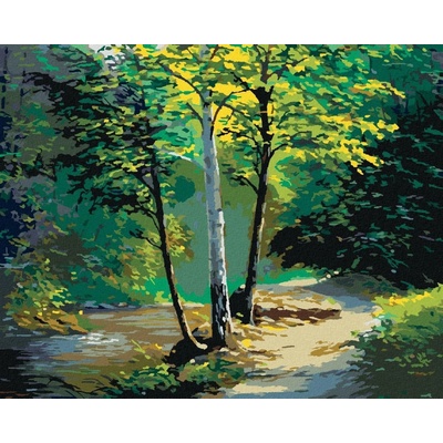 zuty Malování Podle Čísel Nádherná Bříza A Potůček 80 x 100 Cm Plátno Rám