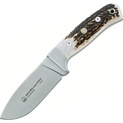 Puma IP Cervato stag