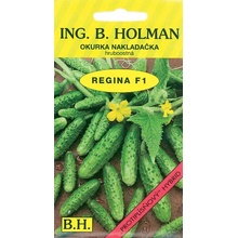 Uhorka nakladačka Holman - Regina F1 hr 2 g