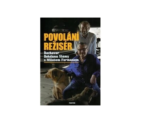 Povolání režisér