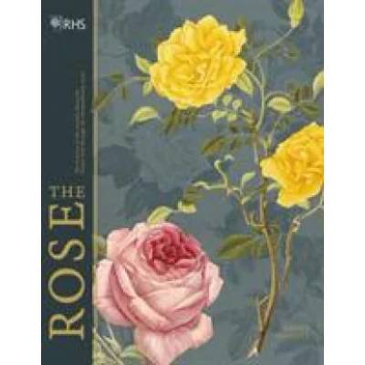 RHS The Rose | Brent Elliott
