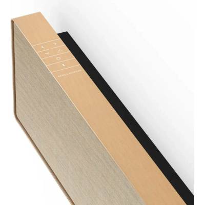 Bang & Olufsen Beosound Stage