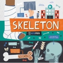 Skeleton