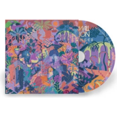 Passenger - Small Million CD