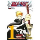 Bleach 1: the Death and the Strawberry - Tite Kubo