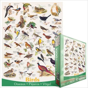 EUROGRAPHICS - Puzzle Birds of fields and gardens - 1 000 piese