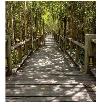 DIMEX ART s. r. o Флизелинов фототапет мангрова гора 225 x 250 см