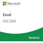 Microsoft Excel LTSC 2024 (DG7GMGF0PN5H-0002)